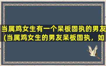 当属鸡女生有一个呆板固执的男友(当属鸡女生的男友呆板固执，如何解决？)