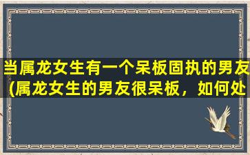 当属龙女生有一个呆板固执的男友(属龙女生的男友很呆板，如何处理？)