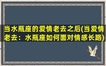 当水瓶座的爱情老去之后(当爱情老去：水瓶座如何面对情感长路)