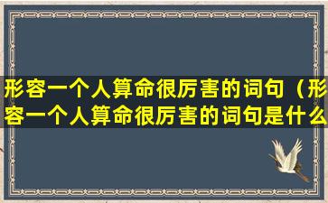 形容一个人算命很厉害的词句（形容一个人算命很厉害的词句是什么）