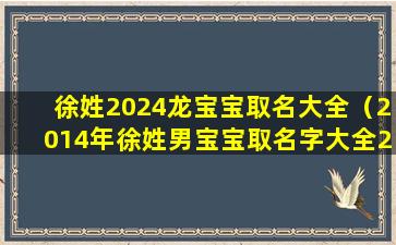 徐姓2024龙宝宝取名大全（2014年徐姓男宝宝取名字大全2021）