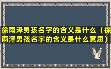 徐雨泽男孩名字的含义是什么（徐雨泽男孩名字的含义是什么意思）