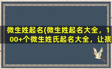 微生姓起名(微生姓起名大全，100+个微生姓氏起名大全，让孩子名字与众不同！)