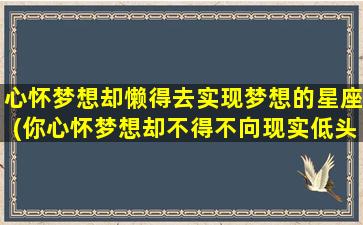 心怀梦想却懒得去实现梦想的星座(你心怀梦想却不得不向现实低头）