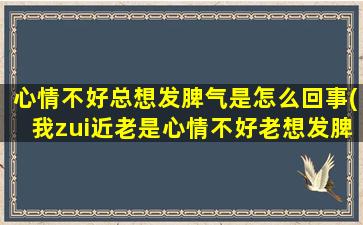 心情不好总想发脾气是怎么回事(我zui近老是心情不好老想发脾气怎么回事)