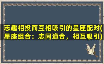 志趣相投而互相吸引的星座配对(星座组合：志同道合，相互吸引)