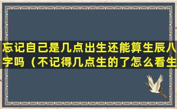 忘记自己是几点出生还能算生辰八字吗（不记得几点生的了怎么看生辰八字）