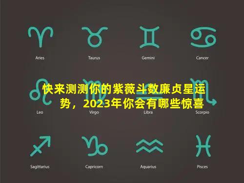 快来测测你的紫薇斗数廉贞星运势，2023年你会有哪些惊喜