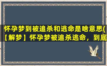 怀孕梦到被追杀和逃命是啥意思(【解梦】怀孕梦被追杀逃命，到底是怎么回事？)