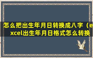 怎么把出生年月日转换成八字（excel出生年月日格式怎么转换）