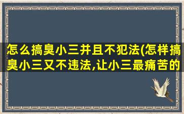 怎么搞臭小三并且不犯法(怎样搞臭小三又不违法,让小三最痛苦的方法是什么)