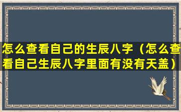 怎么查看自己的生辰八字（怎么查看自己生辰八字里面有没有天盖）