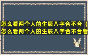 怎么看两个人的生辰八字合不合（怎么看两个人的生辰八字合不合看年柱还是月柱还是日柱）