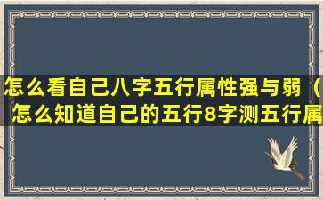 怎么看自己八字五行属性强与弱（怎么知道自己的五行8字测五行属性）