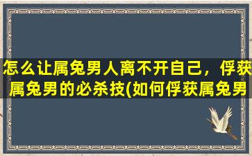 怎么让属兔男人离不开自己，俘获属兔男的必杀技(如何俘获属兔男？教你让属兔男*罢不能！)