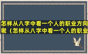 怎样从八字中看一个人的职业方向呢（怎样从八字中看一个人的职业方向呢）