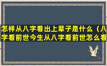 怎样从八字看出上辈子是什么（八字看前世今生从八字看前世怎么看）