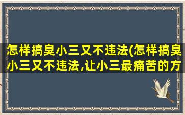 怎样搞臭小三又不违法(怎样搞臭小三又不违法,让小三最痛苦的方法是什么)