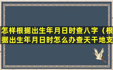 怎样根据出生年月日时查八字（根据出生年月日时怎么办查天干地支）