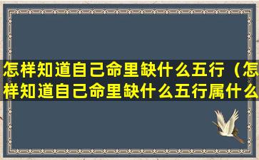 怎样知道自己命里缺什么五行（怎样知道自己命里缺什么五行属什么）