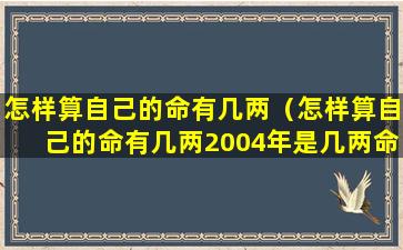 怎样算自己的命有几两（怎样算自己的命有几两2004年是几两命）