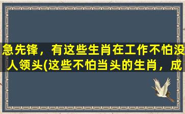 急先锋，有这些生肖在工作不怕没人领头(这些不怕当头的生肖，成为职场急先锋！)