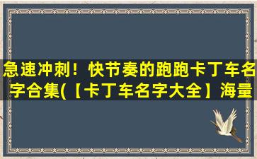 急速冲刺！快节奏的跑跑卡丁车名字合集(【卡丁车名字大全】海量好听、独特的卡丁车昵称推荐，让你享受跑跑*！)