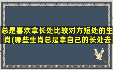 总是喜欢拿长处比较对方短处的生肖(哪些生肖总是拿自己的长处去对比对方？)