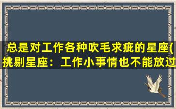 总是对工作各种吹毛求疵的星座(挑剔星座：工作小事情也不能放过！)