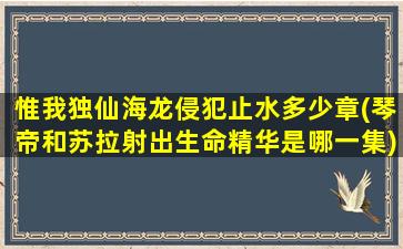 惟我独仙海龙侵犯止水多少章(琴帝和苏拉射出生命精华是哪一集)