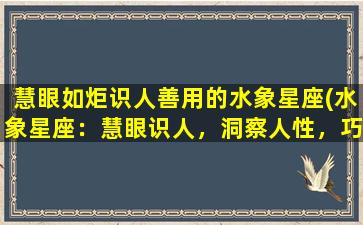 慧眼如炬识人善用的水象星座(水象星座：慧眼识人，洞察人性，巧妙善用)