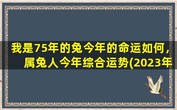 我是75年的兔今年的命运如何，属兔人今年综合运势(2023年属兔人运势大揭秘，事业财运爆发，情感生活喜人！)