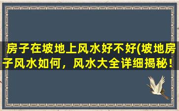 房子在坡地上风水好不好(坡地房子风水如何，风水大全详细揭秘！)