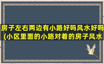 房子左右两边有小路好吗风水好吗(小区里面的小路对着的房子风水)