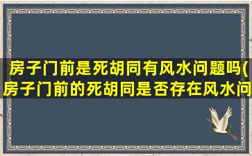 房子门前是死胡同有风水问题吗(房子门前的死胡同是否存在风水问题)