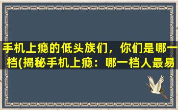 手机上瘾的低头族们，你们是哪一档(揭秘手机上瘾：哪一档人最易受困？)