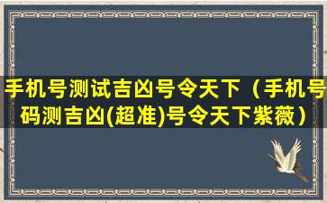 手机号测试吉凶号令天下（手机号码测吉凶(超准)号令天下紫薇）