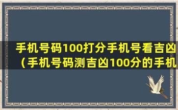 手机号码100打分手机号看吉凶（手机号码测吉凶100分的手机号(图文)）