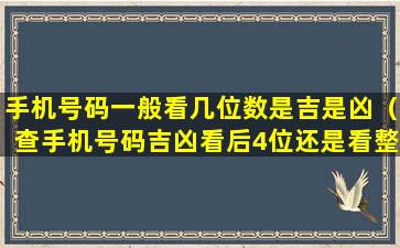 手机号码一般看几位数是吉是凶（查手机号码吉凶看后4位还是看整体好）