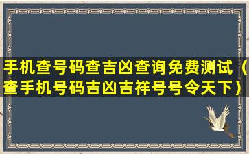 手机查号码查吉凶查询免费测试（查手机号码吉凶吉祥号号令天下）