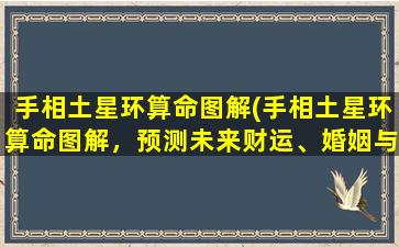 手相土星环算命图解(手相土星环算命图解，预测未来财运、婚姻与事业，全面解读手相特征及其意义)