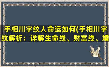 手相川字纹人命运如何(手相川字纹解析：详解生命线、财富线、婚姻线、事业线，掌纹图解命运趋势！)