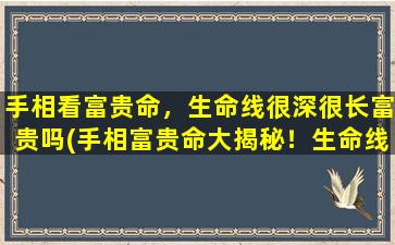 手相看富贵命，生命线很深很长富贵吗(手相富贵命大揭秘！生命线深长真的代表富贵吗？)