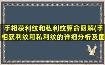 手相获利纹和私利纹算命图解(手相获利纹和私利纹的详细分析及图解)