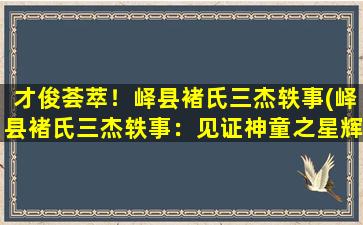 才俊荟萃！峄县褚氏三杰轶事(峄县褚氏三杰轶事：见证神童之星辉人生)