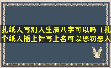 扎纸人写别人生辰八字可以吗（扎个纸人插上针写上名可以惩罚恶人吗）