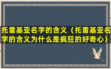 托雷基亚名字的含义（托雷基亚名字的含义为什么是疯狂的好奇心）