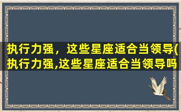 执行力强，这些星座适合当领导(执行力强,这些星座适合当领导吗）