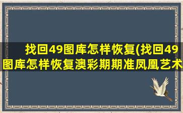 找回49图库怎样恢复(找回49图库怎样恢复澳彩期期准凤凰艺术)