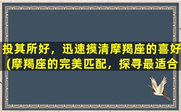 投其所好，迅速摸清摩羯座的喜好(摩羯座的完美匹配，探寻最适合TA的星座和爱情方式)